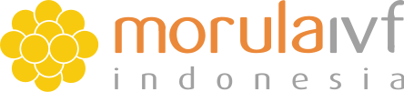 MORULA IVF